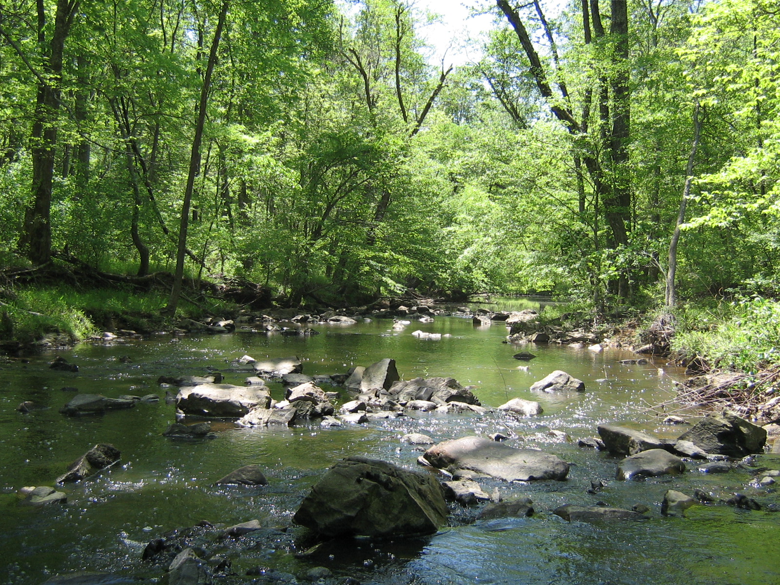 Gifts & Purchases of Land Tar River Land Conservancy