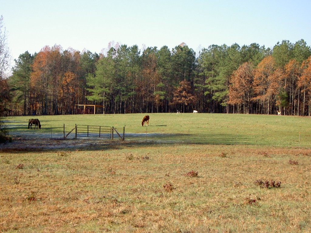 Warren County Tar River Land Conservancy