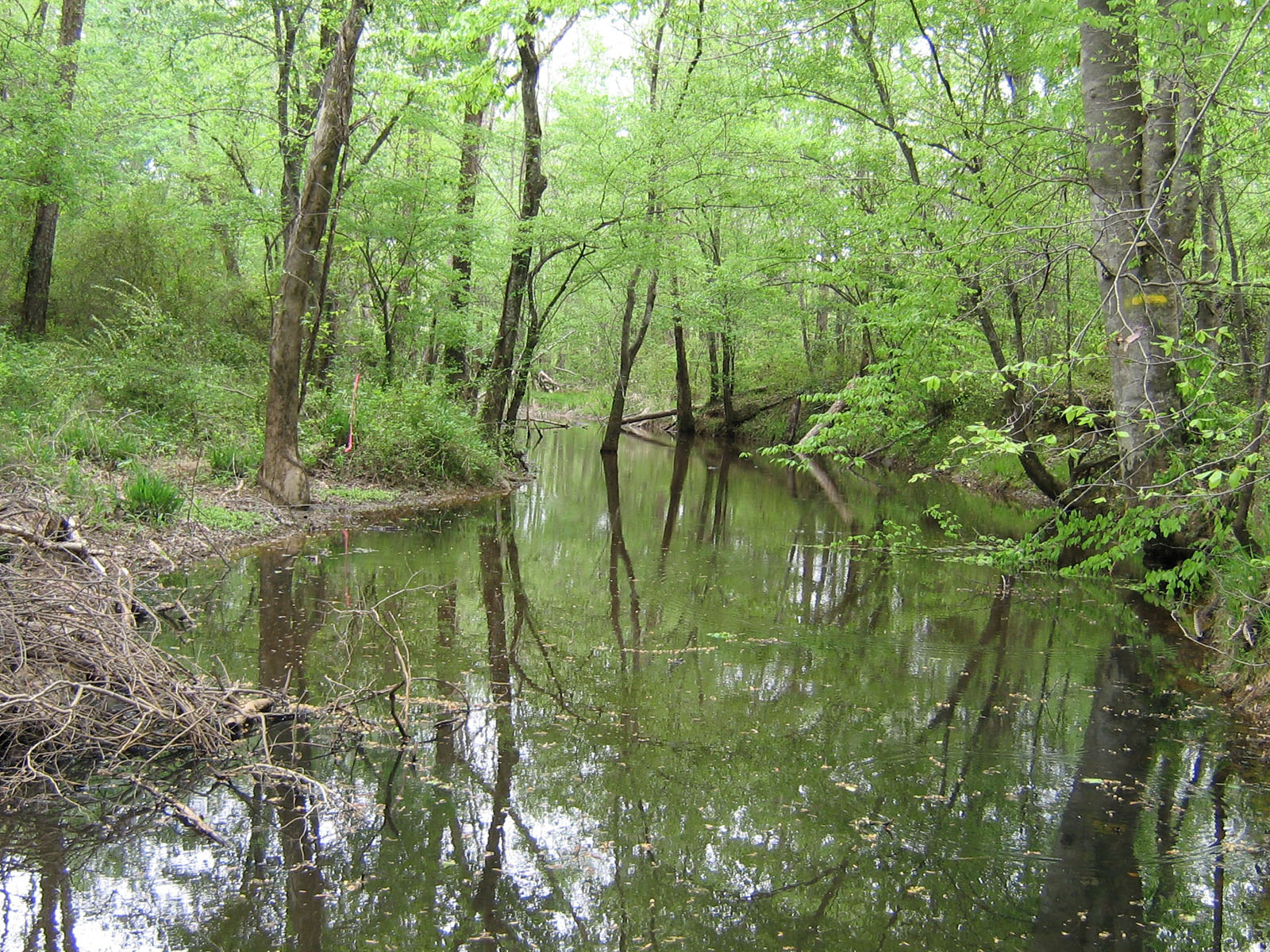 Granville County | Tar River Land Conservancy