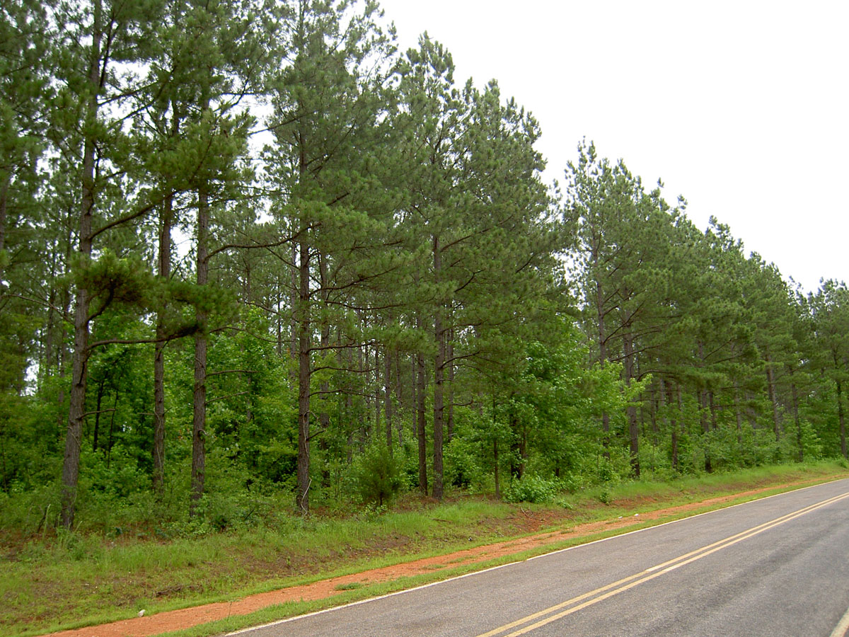Warren County Tar River Land Conservancy