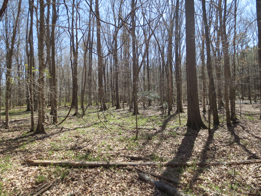 Franklin County Tar River Land Conservancy