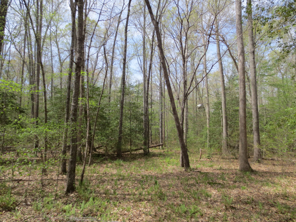 57 acres acquired on Fishing Creek in Nash County Tar River Land