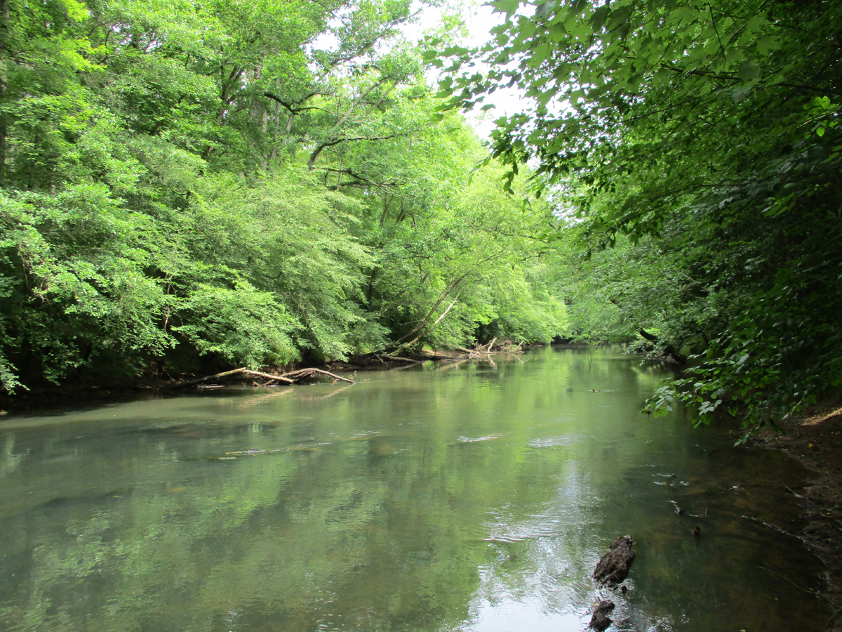 TRLC Preserves 40 More Acres on Fishing Creek Tar River Land Conservancy