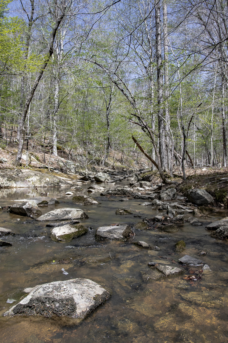 Buffering Camp Butner, Protecting Water Quality Tar River Land
